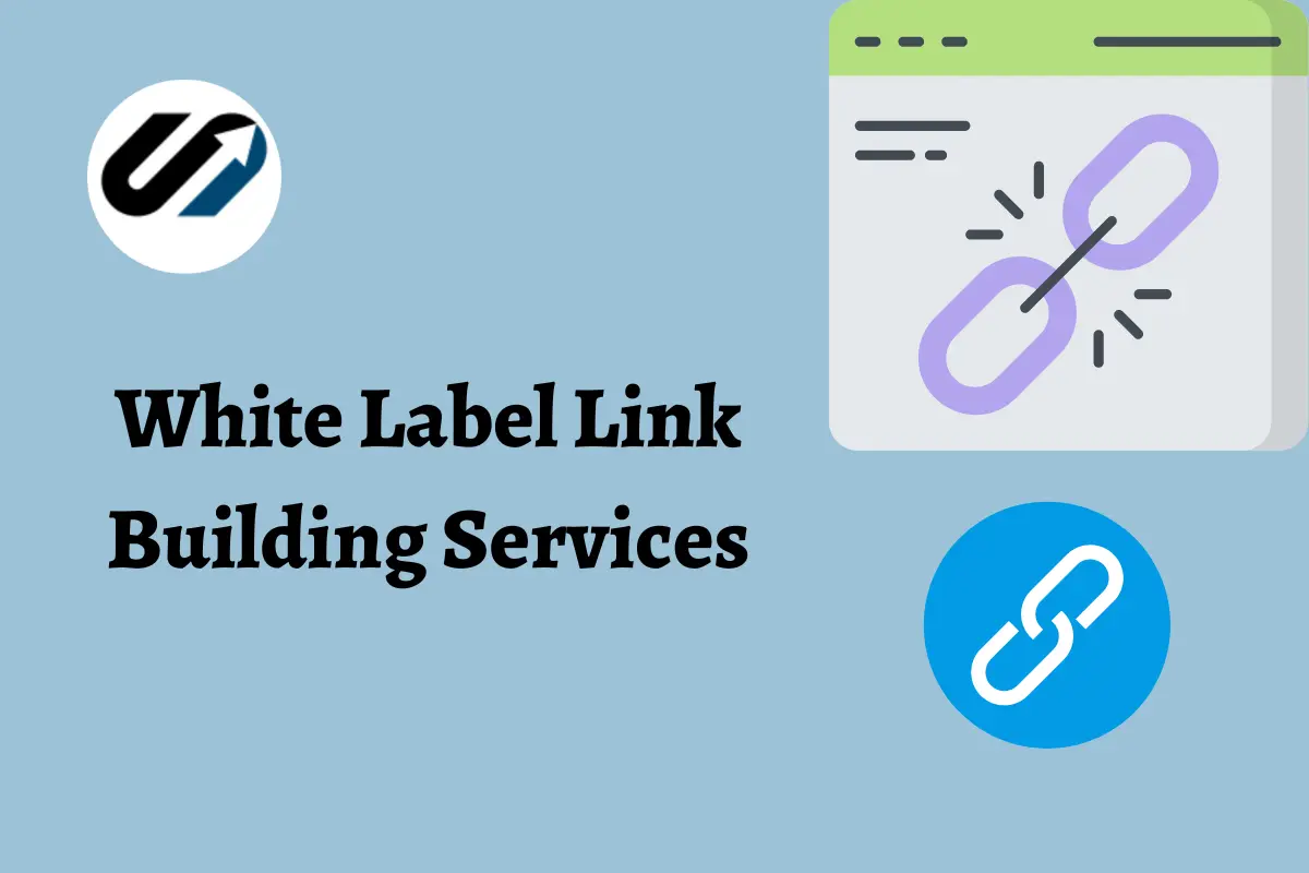 white label backlink building tracking